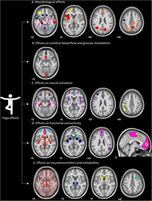 What Has Neuroimaging Taught Us on the Neurobiology of Yoga? A Review